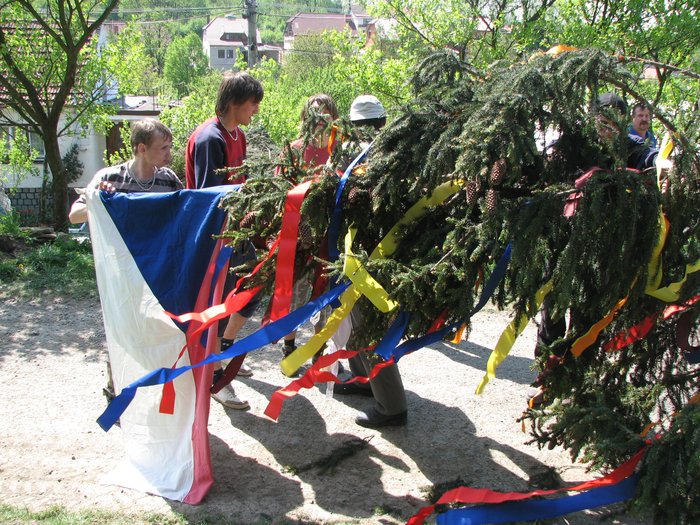 maj_017.jpg
